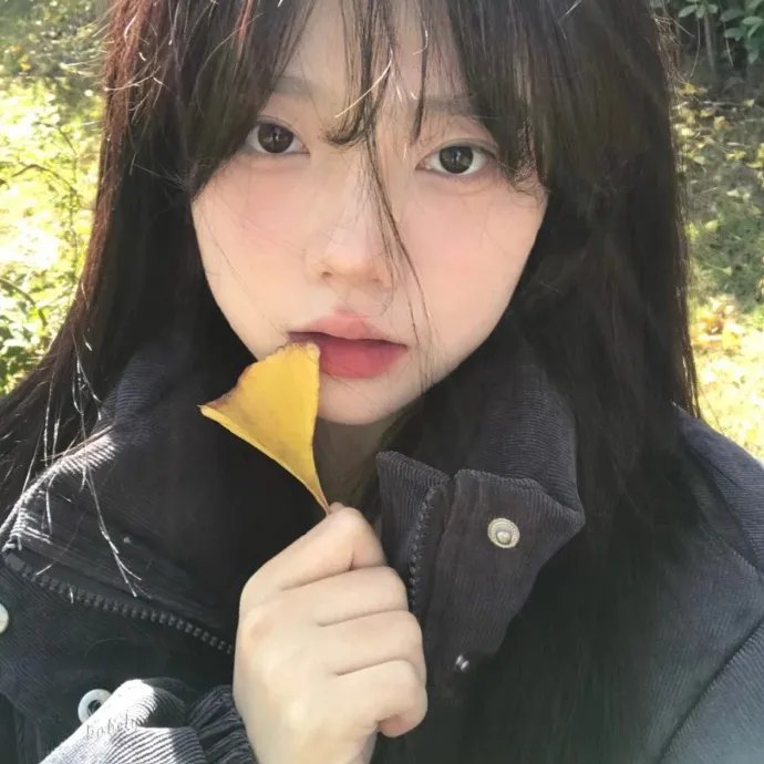 链接与链条